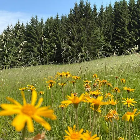 Vakantiehuis Familien-idyll Bibertalblick Masserberg